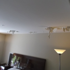 Water Damage Zone & Restoration, Inc