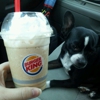 Burger King gallery