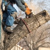 Freeport Tree Services gallery