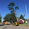 Robs Tree Service gallery