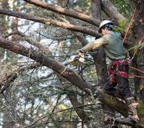 Love it Landscaping and Tree Co. - Mt Juliet, TN