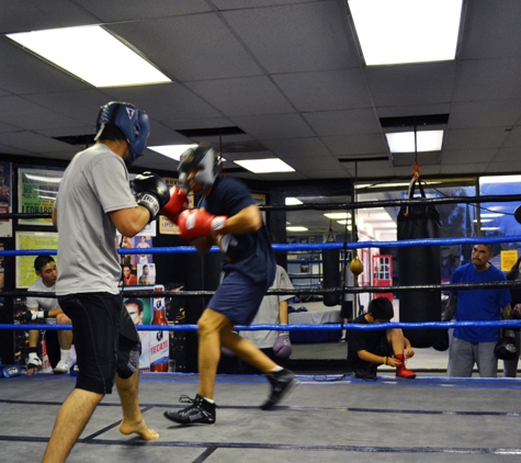 Silva Boxing-mma - West Hills, CA