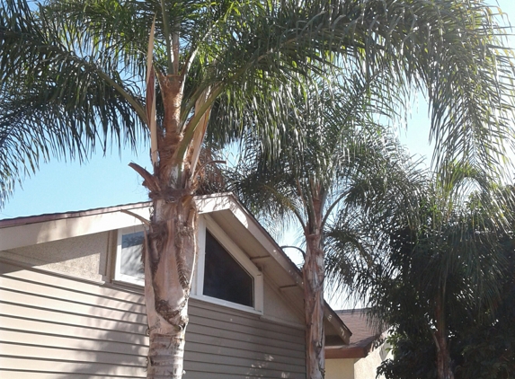 J.E.M Tree Service - Rancho Cucamonga, CA