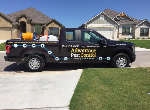 Advantage Pest Control - Temple, TX