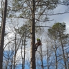Spotswood Contracting & Tree Experts gallery