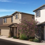 Tays Landing By Meritage Homes