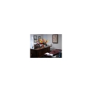Ellis Chiropractic Center - Acupuncture