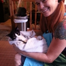 Carolyn's Mobile Cat Grooming