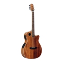 Boulder Creek Guitars - Musical Instruments