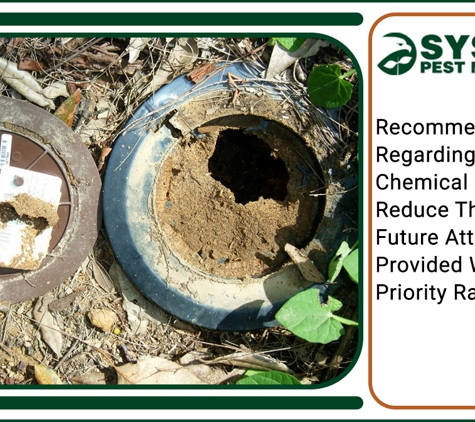 Systems Pest Management Pty Ltd - Thornleigh, NSW. Recommendations Regarding Non-Chemical Methods To Reduce The Risk Of Future Attack Are Provided With A Priority Rating