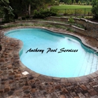 Anthony pools service & maintenance