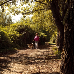 Cedarshade Pet Retreat - Red Oak, TX