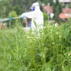 E&J Termite and Pest Control gallery