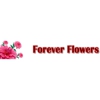 Forever Flowers gallery