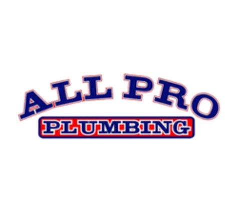 All Pro Plumbing - Tampa, FL