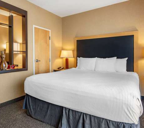 Cambria Suites Columbus/Polaris, All Suites Hotel, Pool, Lounge - Columbus, OH