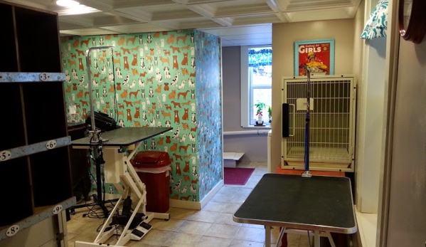 Berkeley's Dapper Dog LLC & Cat Grooming - Danielson, CT