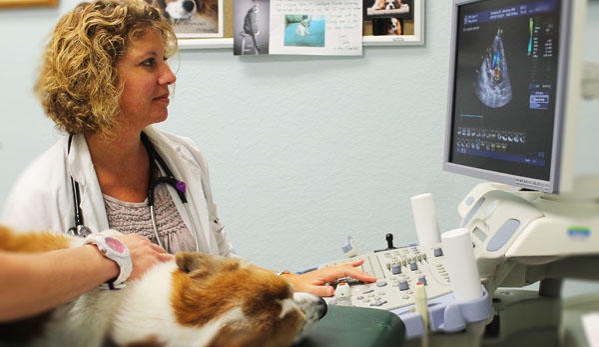 Southwest Florida Veterinary Specialists & 24-Hour Emergency Hospital - Bonita Springs, FL