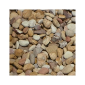 Gallery Image Number 6
