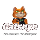 Catseye Pest Control - Hartford, CT - Termite Control