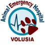 Animal Emergency Hospital- Volusia LLC