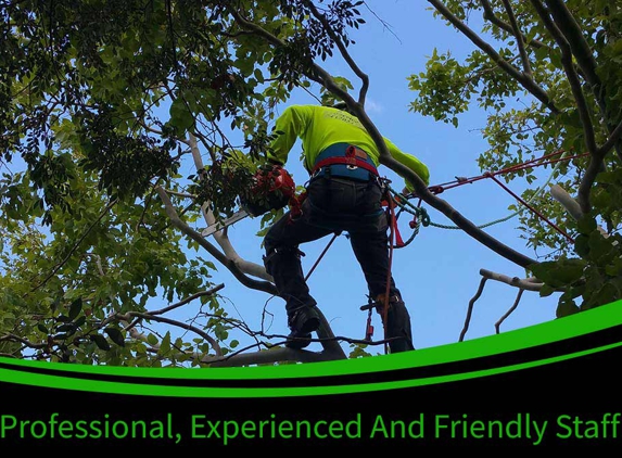 Bell's Tree Service - Wallamore, NSW. Professional, Experienced & Friendly Staff