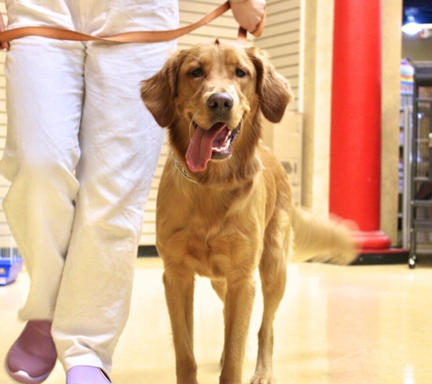 Feeders Pet Supply Obedience & Training - Walton, KY