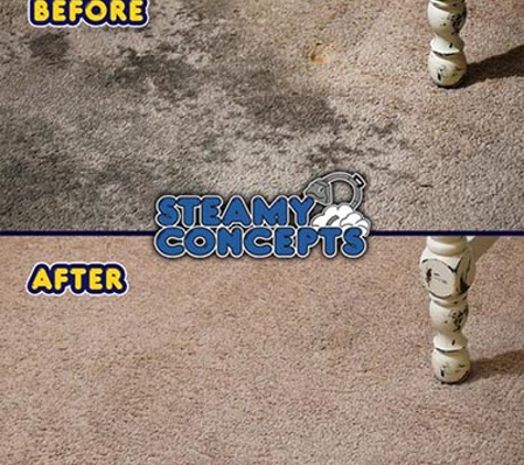 Steamy Concepts Carpet Cleaning - Tucson, AZ