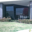 Syntech International