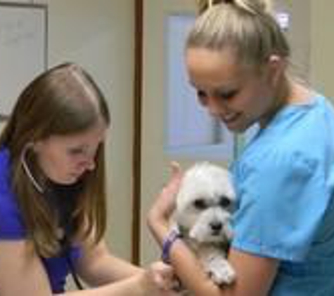 Garden City Veterinary Clinic - Garden City, KS