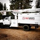Central Oregon Tree Experts - Tree Service
