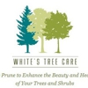 White's Tree Care & Pruning gallery