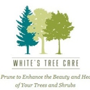 White's Tree Care & Pruning - Arborists