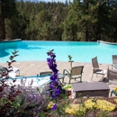 Specialized Pool Services - Swimming Pool Repair & Service