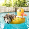 No Worries Pool Care gallery