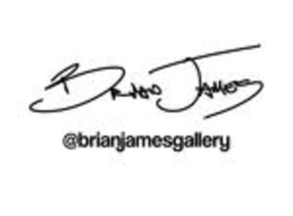 Brian James Gallery Photography - St Petersburg, FL