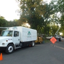 Complete Tree Care & Service - Tree Service