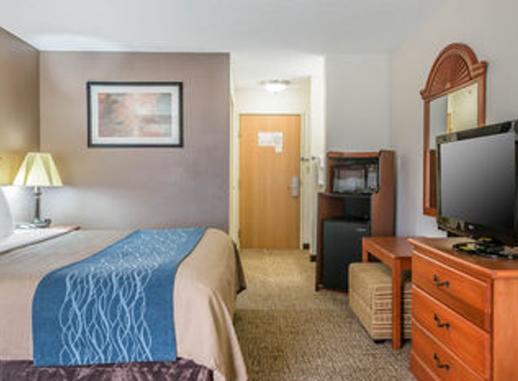 Comfort Inn Downtown - University Area - Kalamazoo, MI