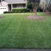 M&M Lawncare gallery