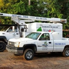 Niwaki Tree & Shrub Care