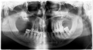 Spring Orchid Dental - Dentists