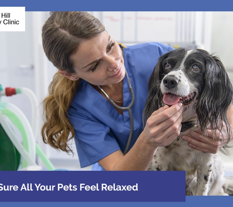 Clifton Hill Veterinary Clinic - Clifton Hill, VIC. We Make Sure All Your Pets Feel Relaxed