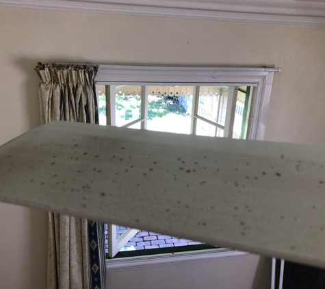 V clean services - Greensborough, VIC. Didn't clean any of the ceiling fans, exhaust fans or light fixtures