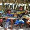 Johnny Maddox Charters Sportfishing Adventures gallery