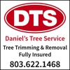 Daniel's Tree Service gallery