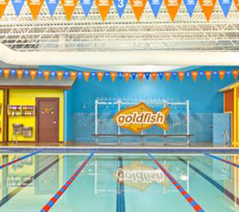 Goldfish Swim School - Superior - Superior, CO