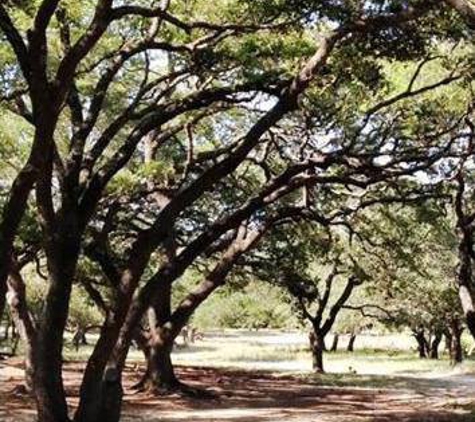 H & H Tree Services Inc - Lometa, TX