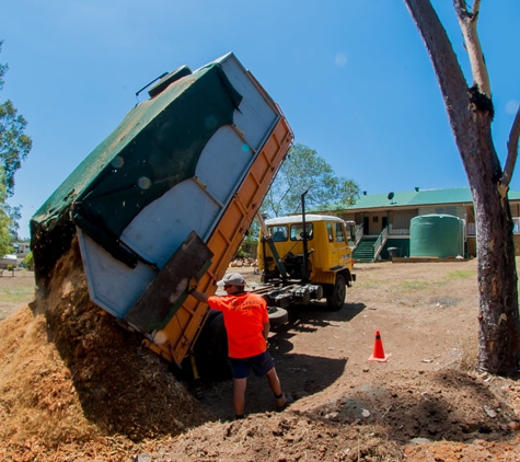 Mr Trees - Riverhills, QLD