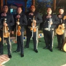 Mariachi Internacional Mariachisimo - Bands & Orchestras