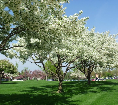 Lindbergh's Tree Service Greensboro - Greensboro, NC